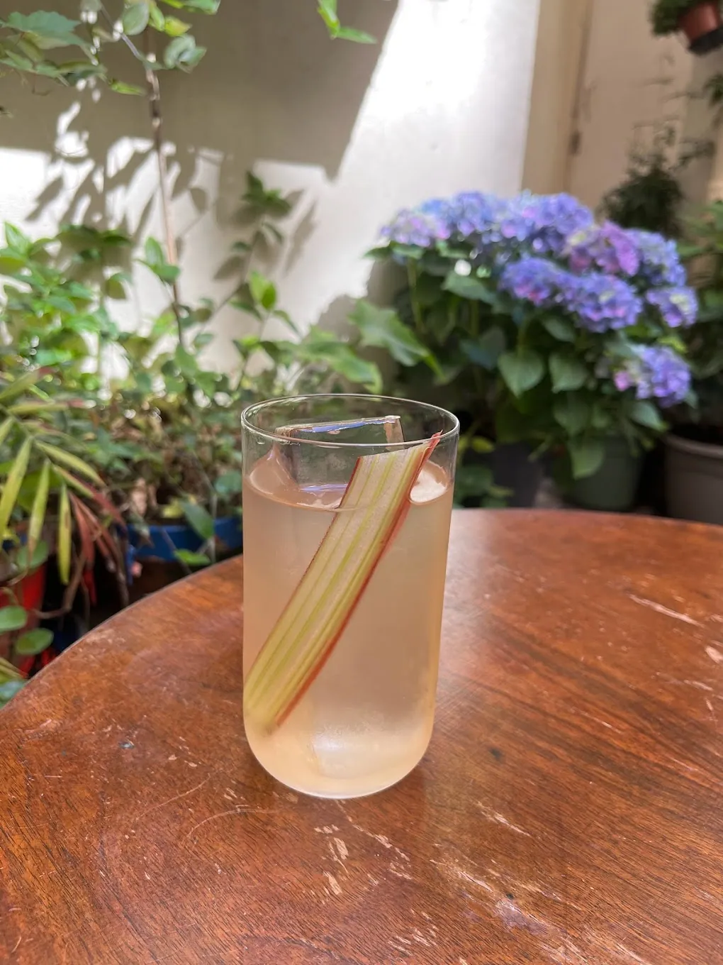 Highball à la rhubarbe